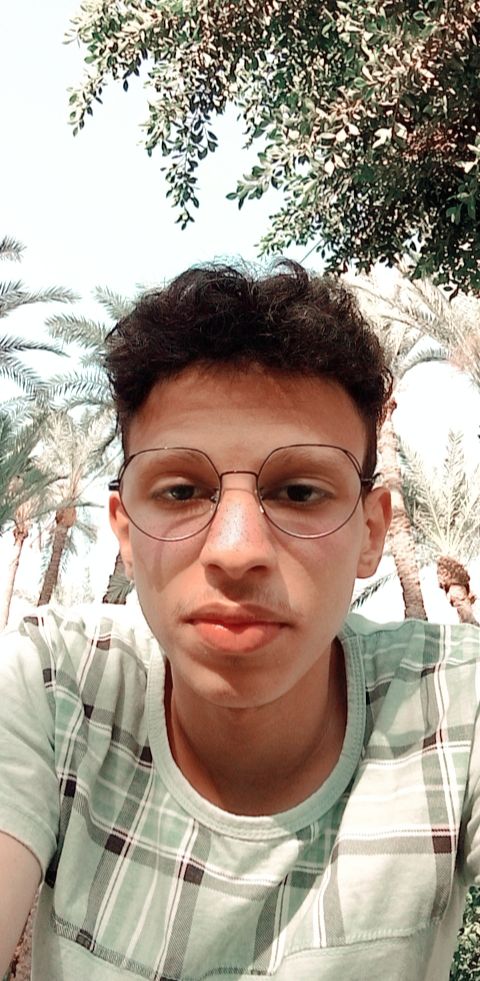 يوسف محمد احمد عباس
