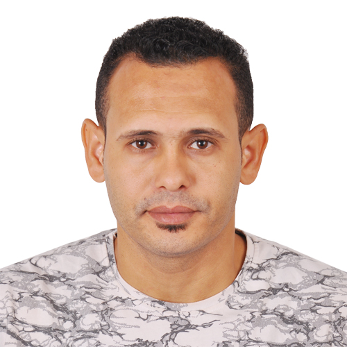mohammed elmikawy