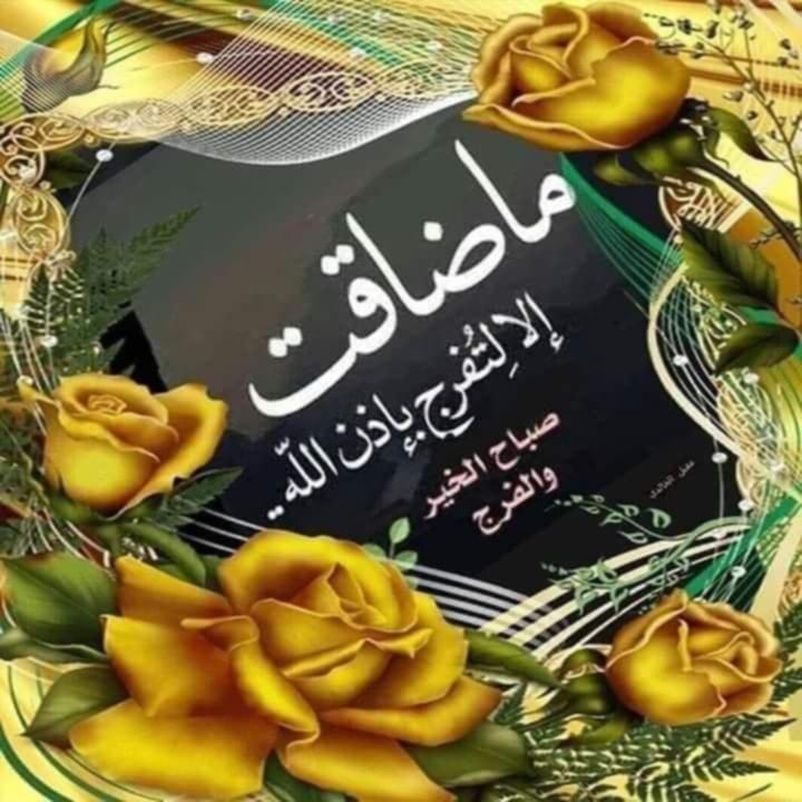 عبدالباقي كمال